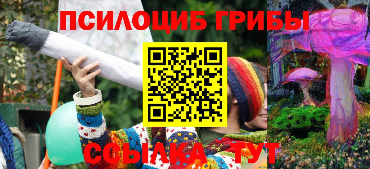 Галлюциногенные грибы Psilocybine cubensis Москва