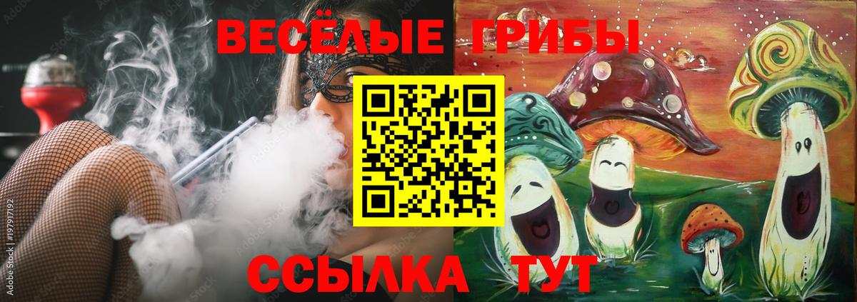 Москва  Галлюциногенные грибы мицелий  Вход с VPN  Галлюциногенные грибы Cubensis 